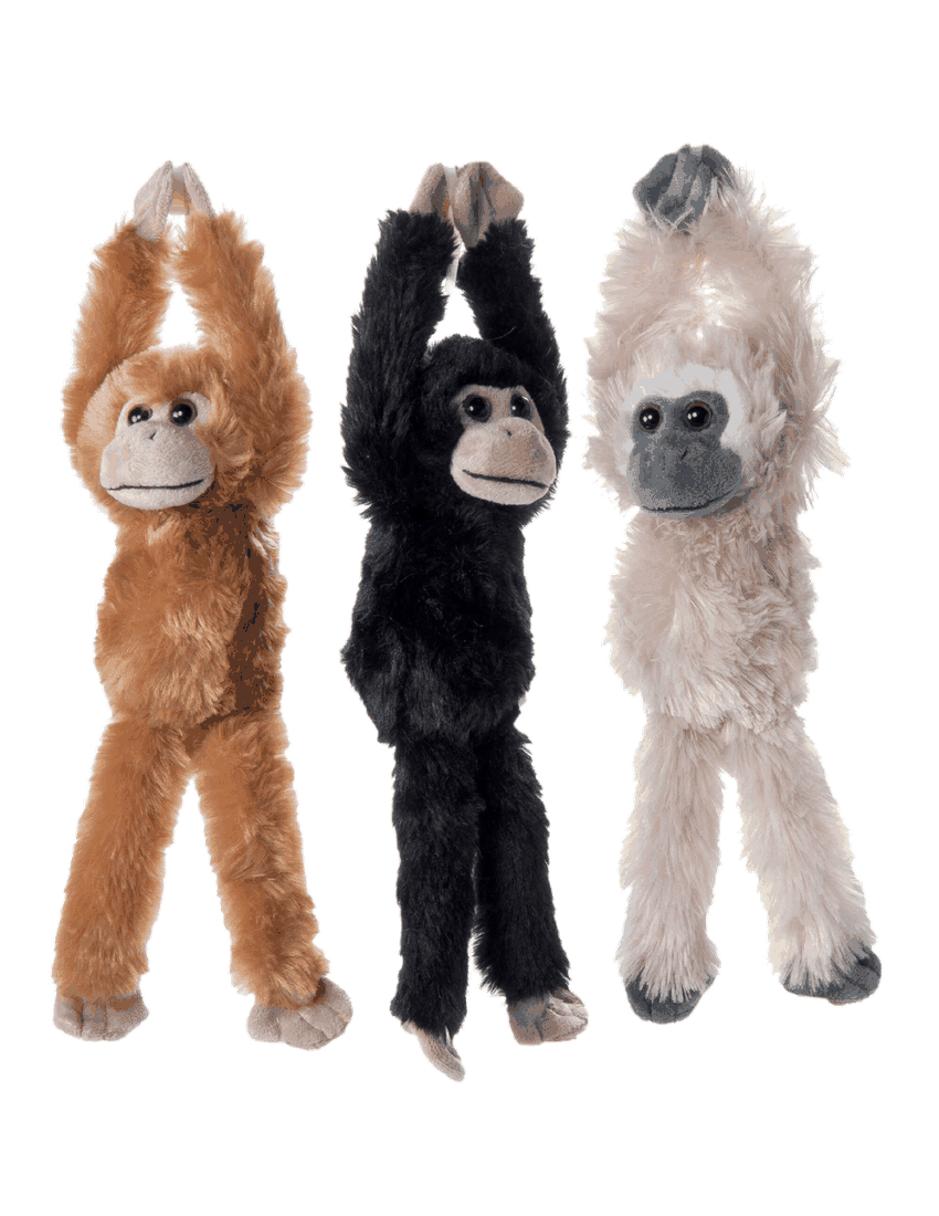 Three stuffed monkeys hanging in a row