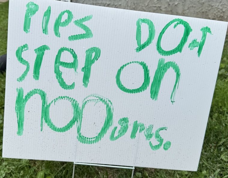 A hand-drawn yard sign asking people not to step on the new grass